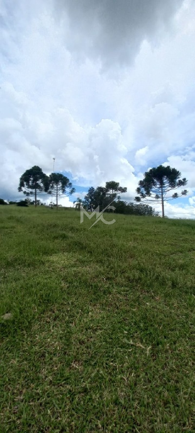 Fazenda - Foto 4