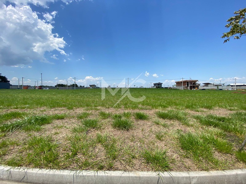 Terreno, 250 m² - Foto 2