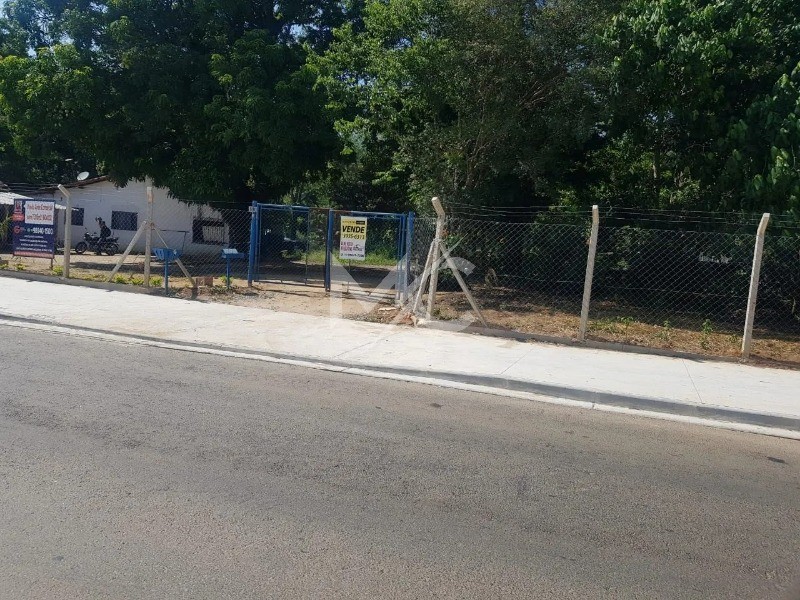 Terreno - Foto 6