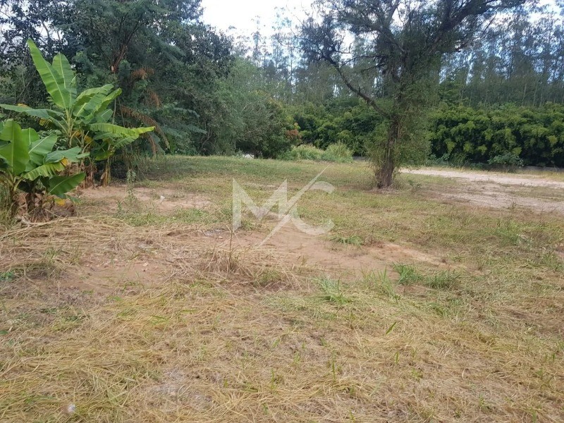Terreno - Foto 4