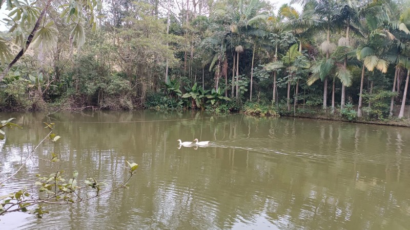 Chácara, 3 quartos - Foto 18