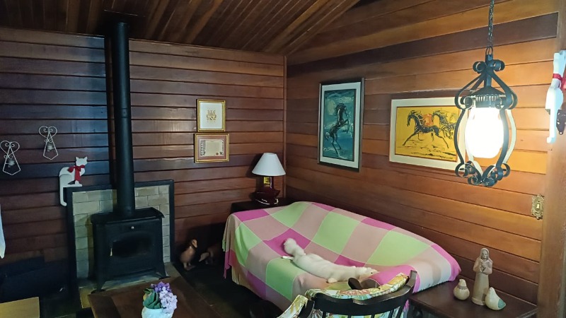Chácara, 3 quartos - Foto 15