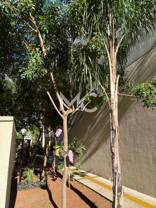 Apartamento, 2 quartos, 45 m² - Foto 16