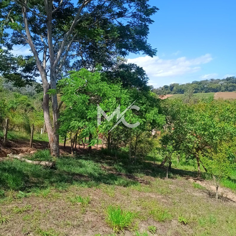 Chácara, 2 quartos, 3193 m² - Foto 36