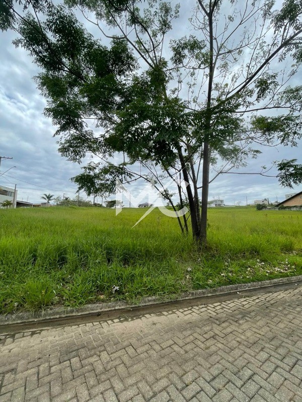 Terreno, 1411 m² - Foto 3