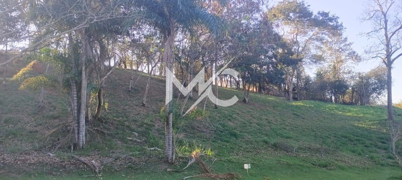 Terreno, 1000 m² - Foto 5