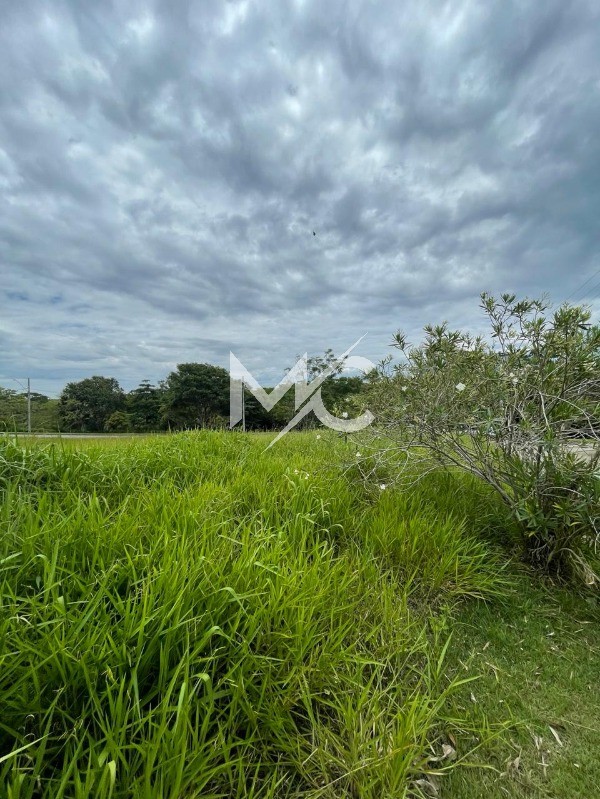 Terreno, 1411 m² - Foto 7