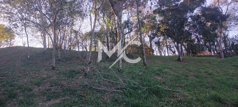 Terreno, 1000 m² - Foto 3