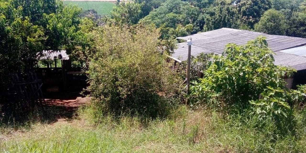 Chácara à venda com 2 quartos, 23000m² - Foto 7