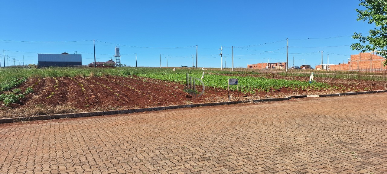 TERRENO RESIDENCIAL em SELBACH - RS, Loteamento werlang