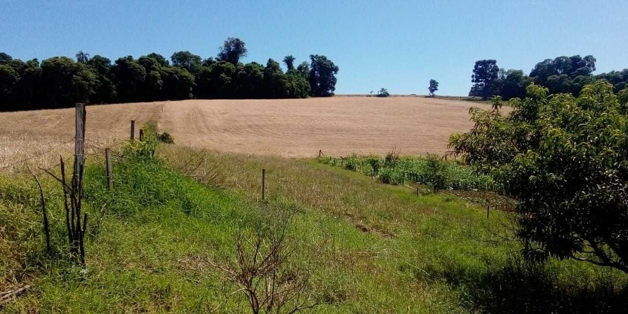 Chácara, 2 quartos - Foto 1