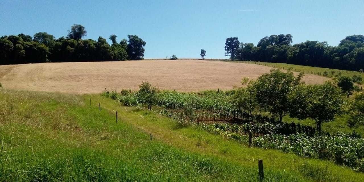 Chácara, 2 quartos - Foto 2