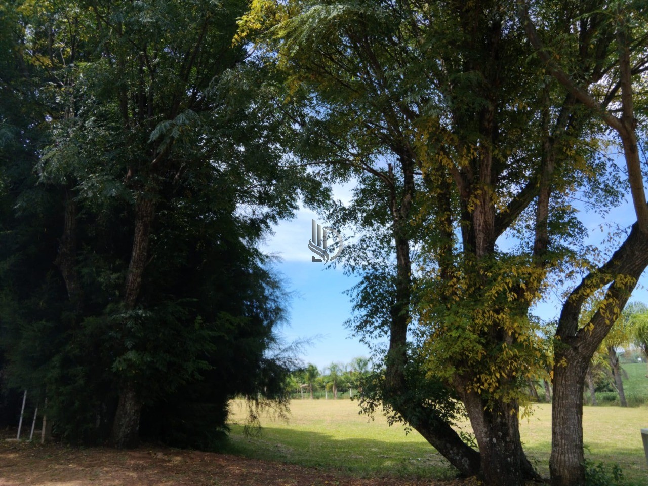 Terreno, 4000 m² - Foto 7