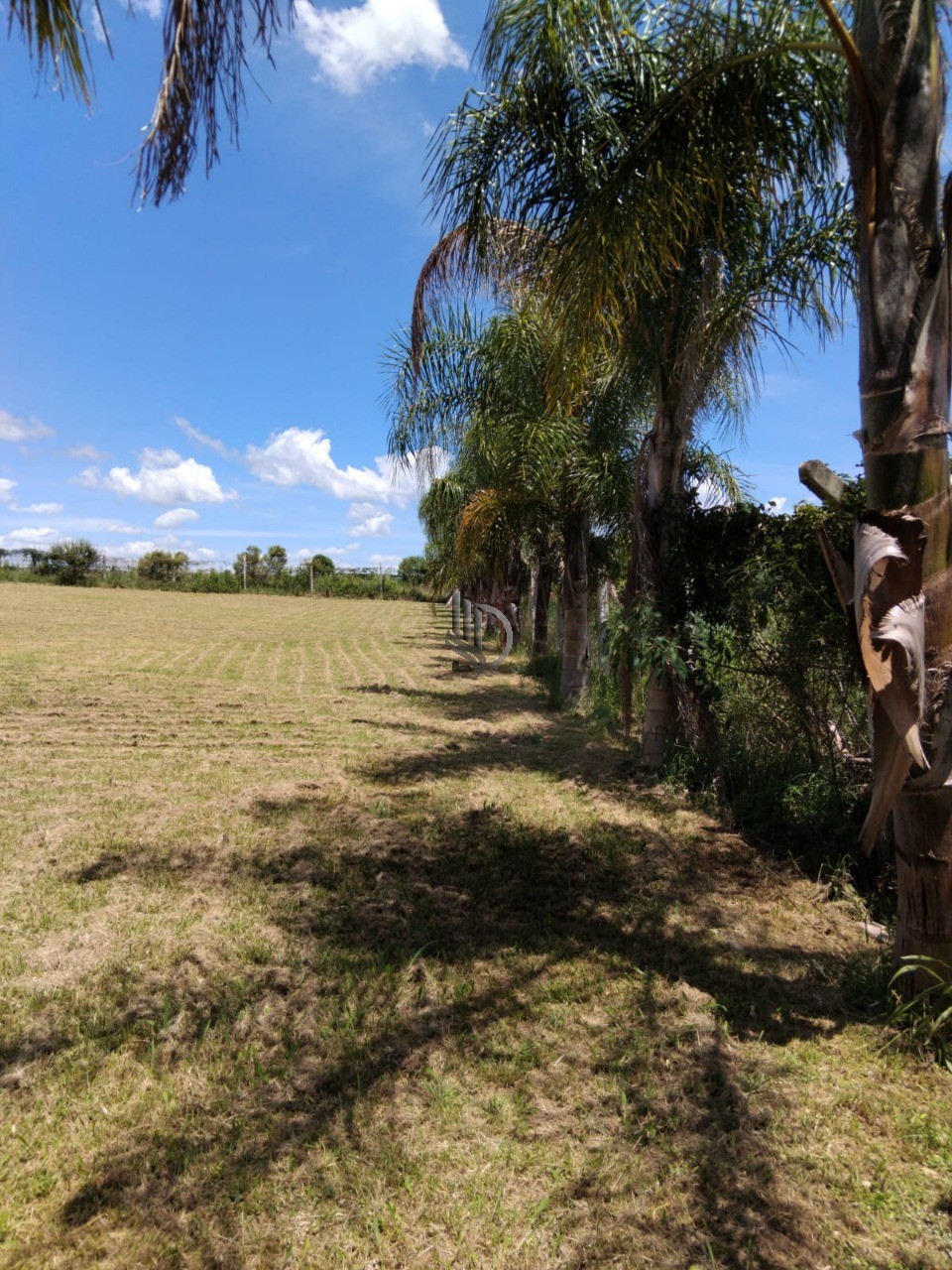 Terreno, 4000 m² - Foto 4