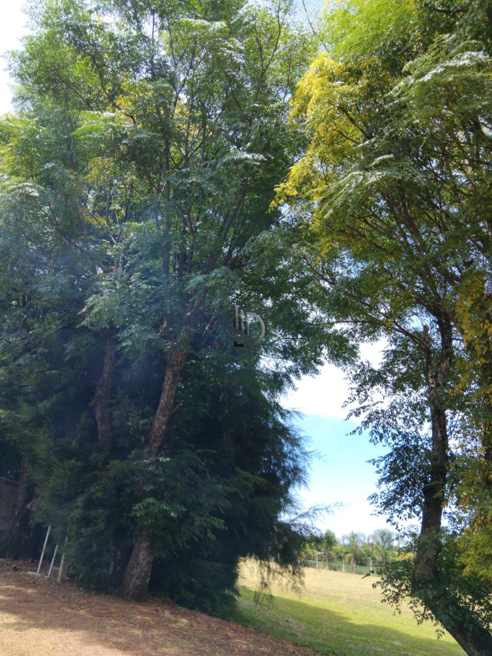 Terreno, 4000 m² - Foto 6