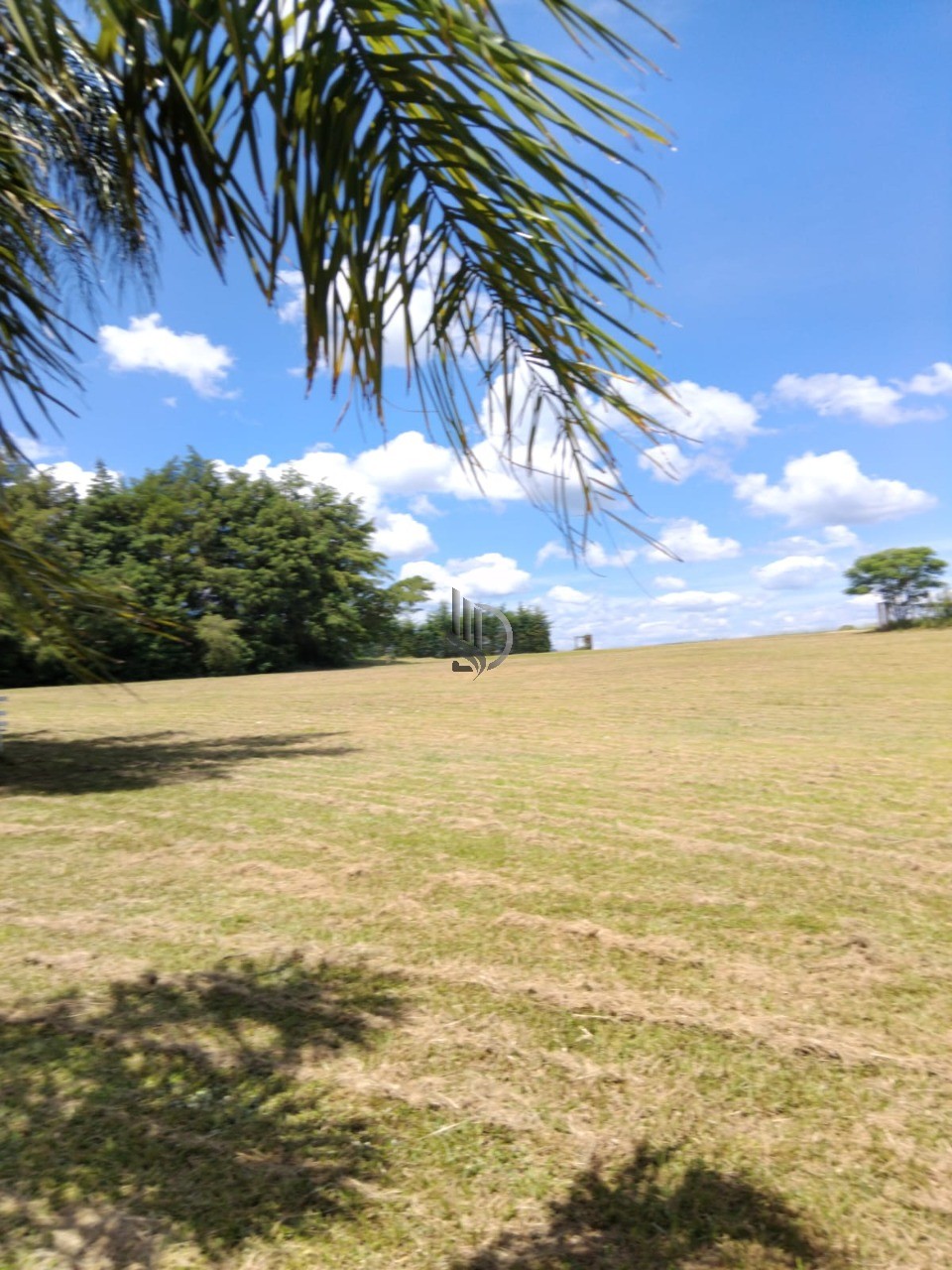 Terreno, 4000 m² - Foto 3