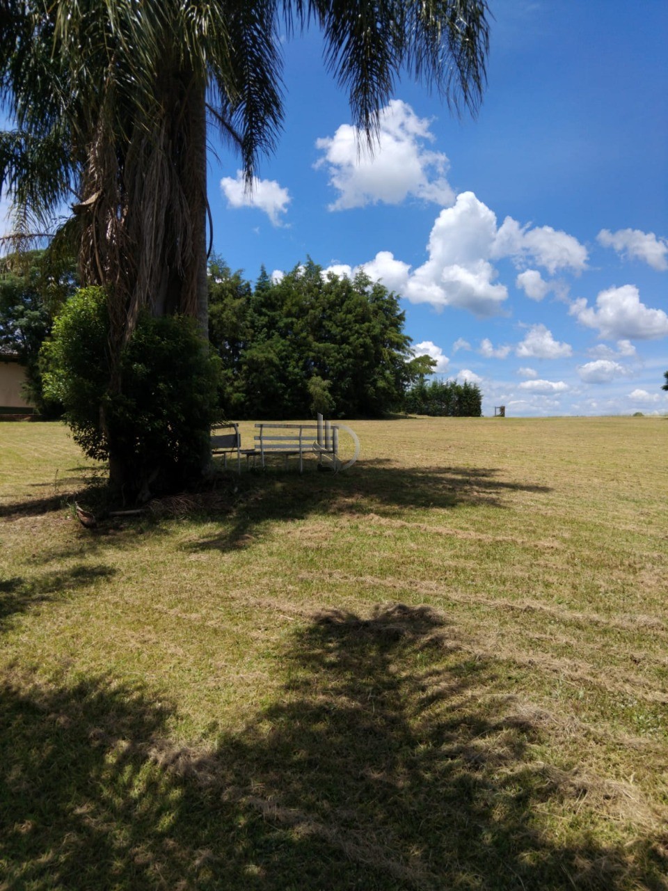 Terreno, 4000 m² - Foto 5