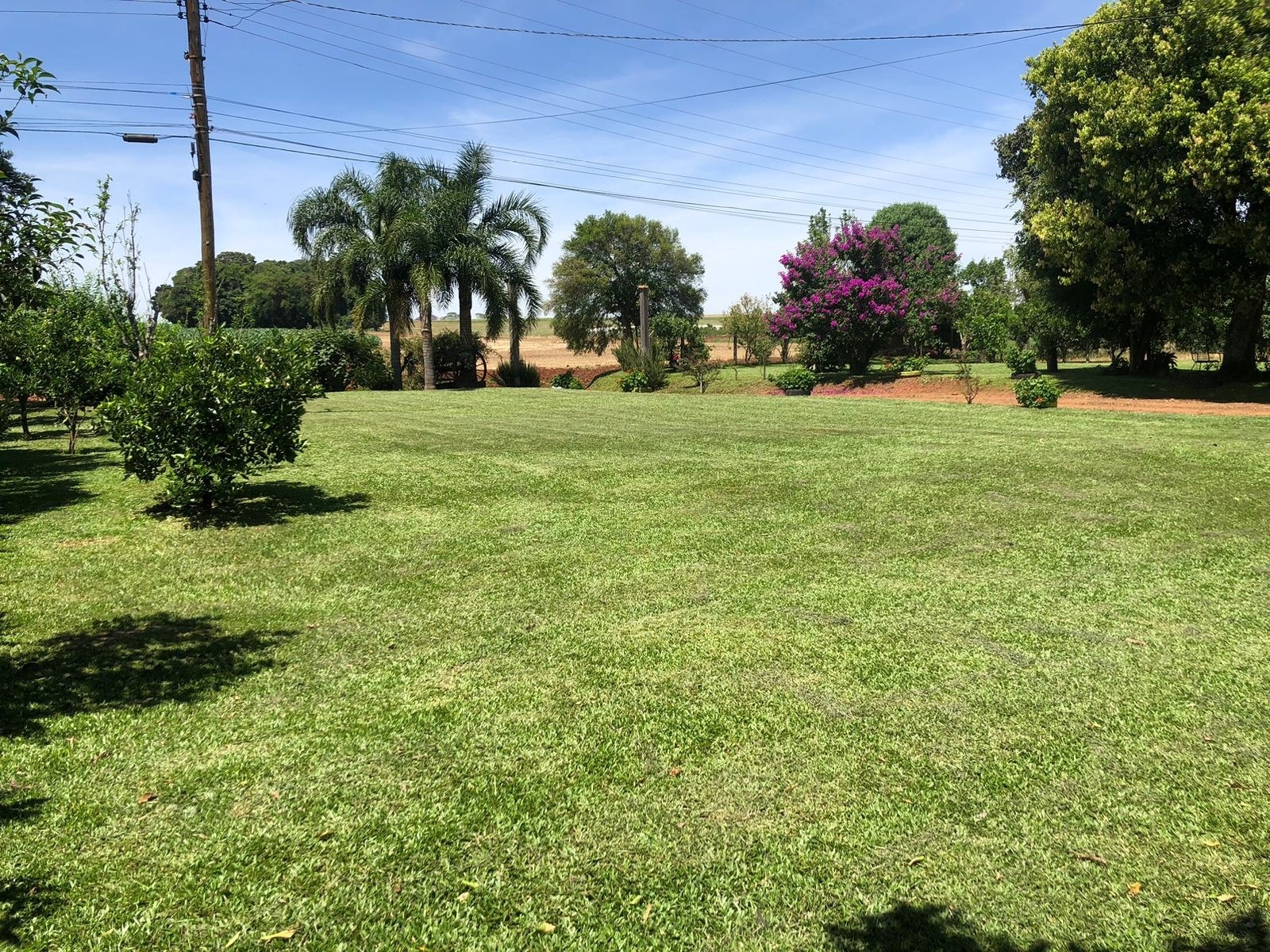 Chácara à venda no bairro centro em selbach/rs