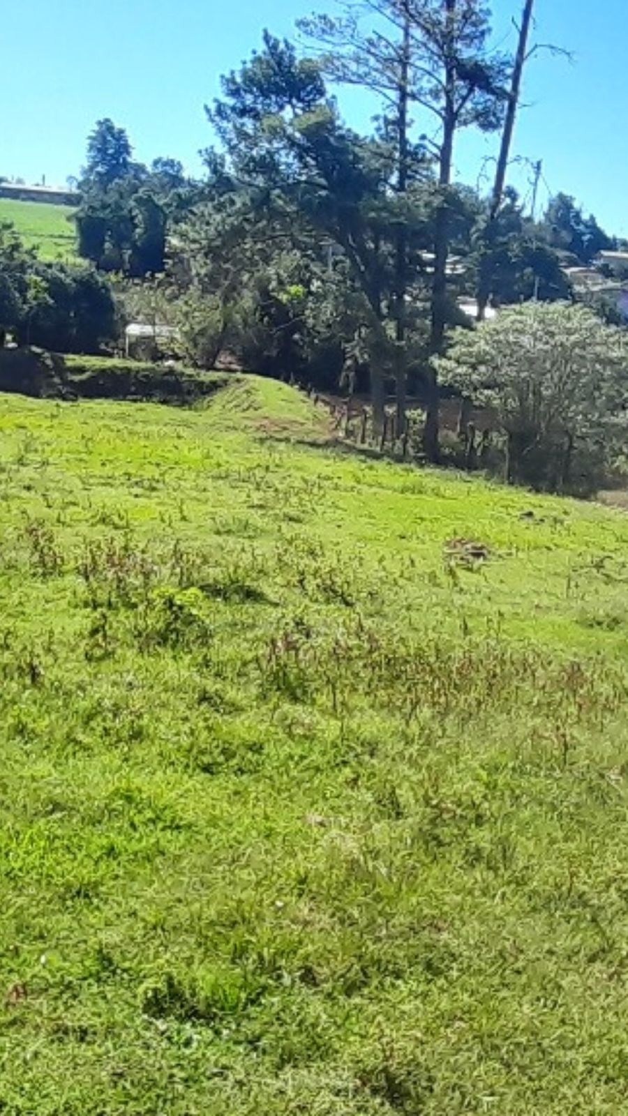 Chácara à venda no bairro Centro em Selbach/RS