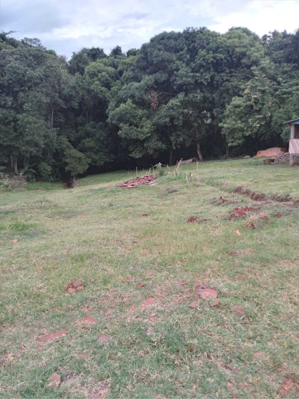 Chácara à venda com 2 quartos, 5000m² - Foto 1