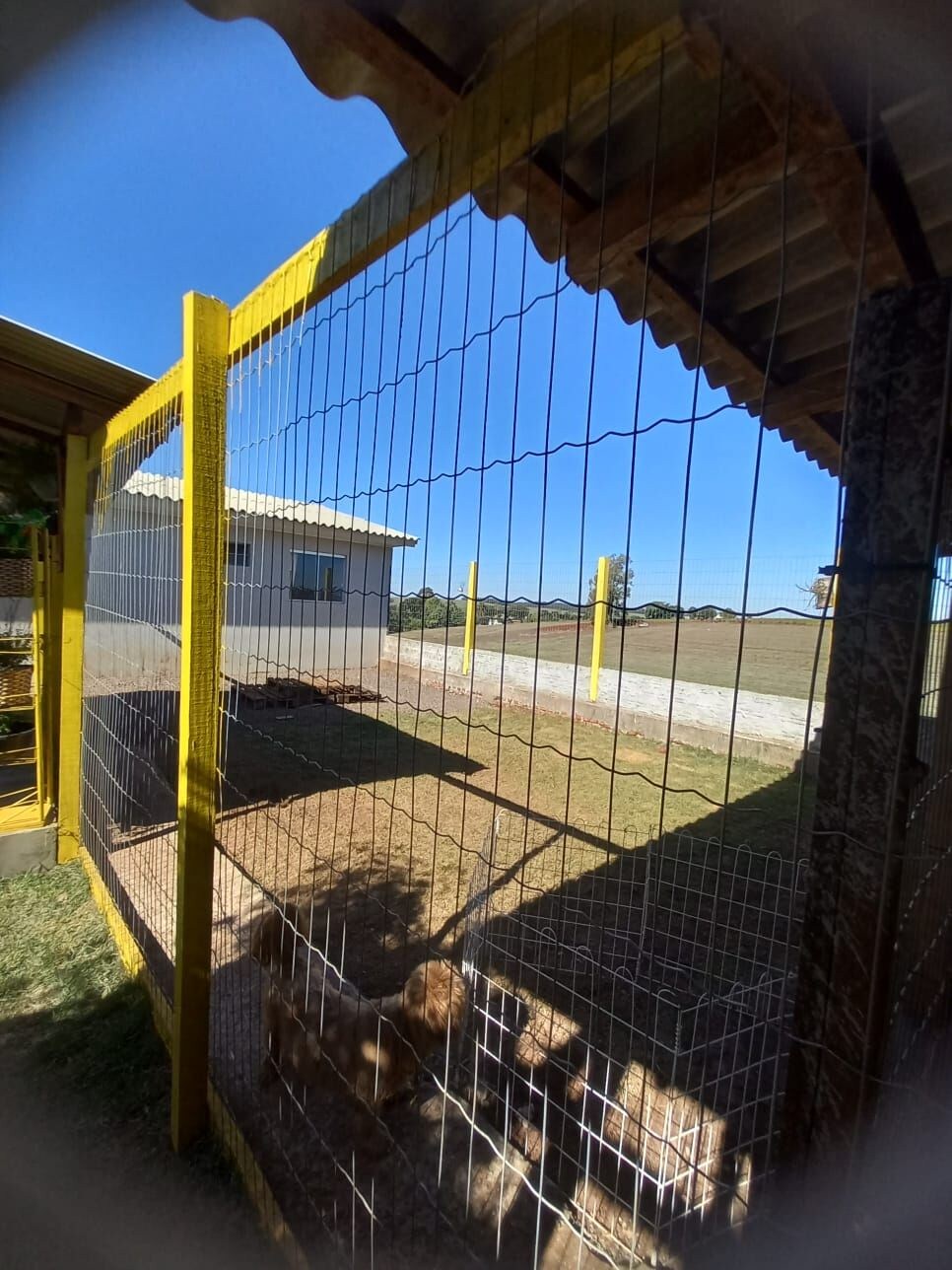 Casa, 2 quartos - Foto 2