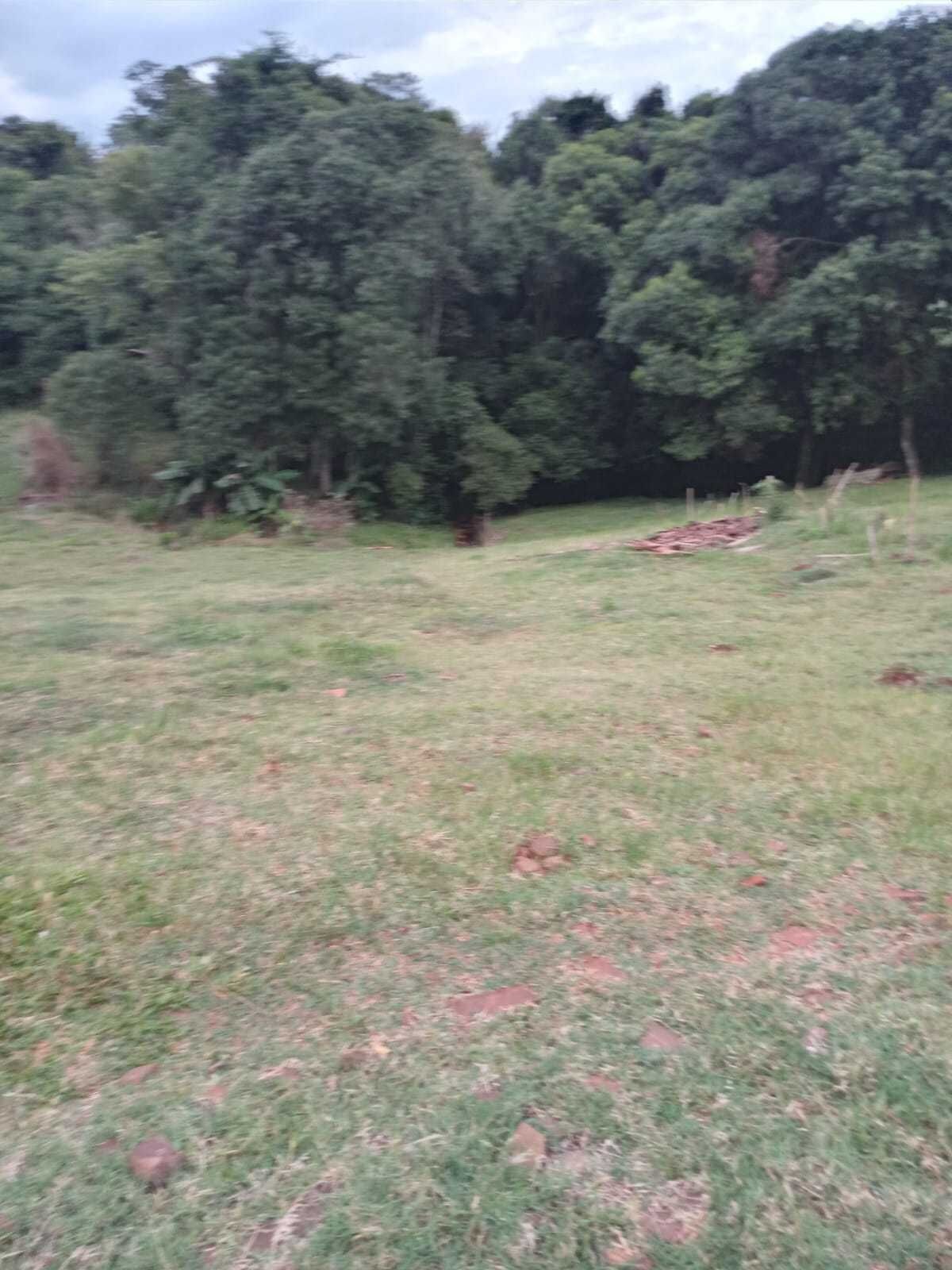 Chácara à venda com 2 quartos, 5000m² - Foto 5