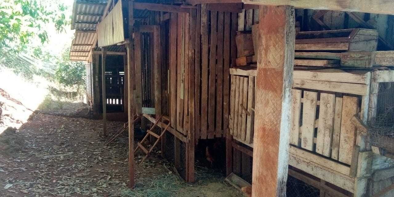 Chácara à venda com 2 quartos, 23000m² - Foto 8