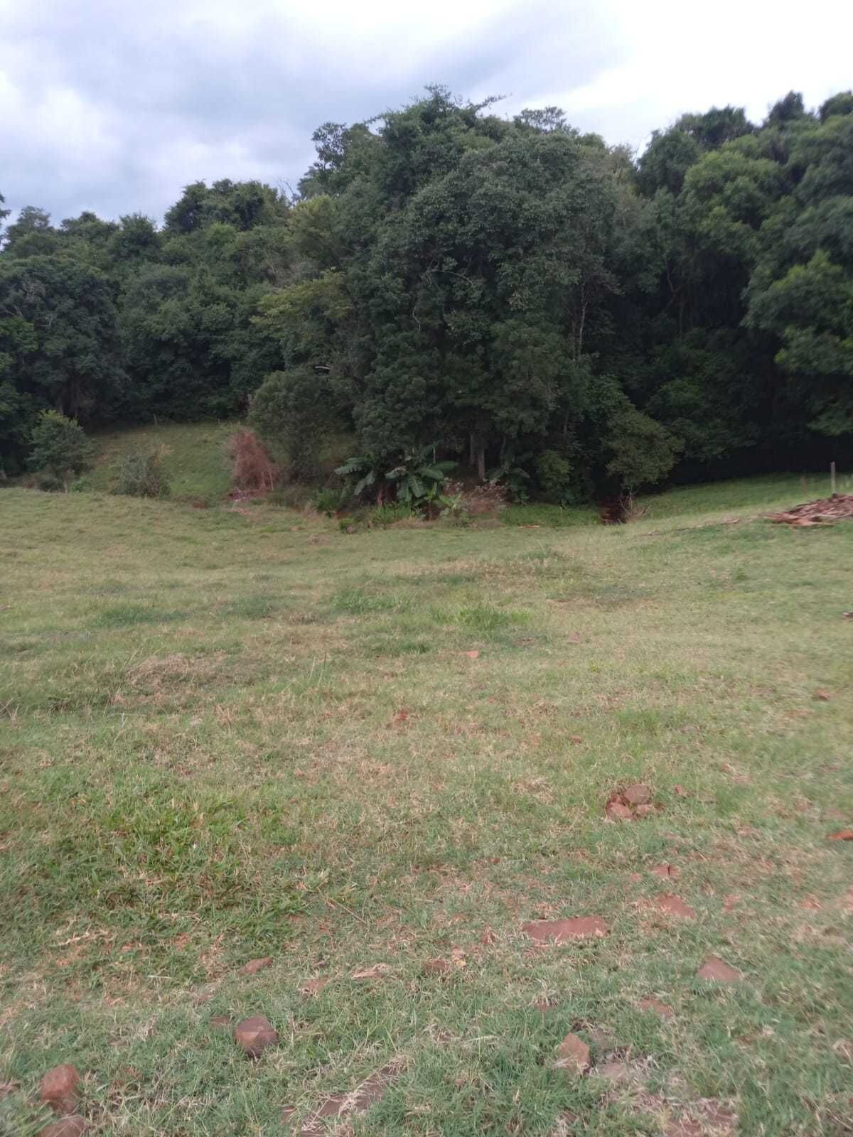 Chácara à venda com 2 quartos, 5000m² - Foto 6