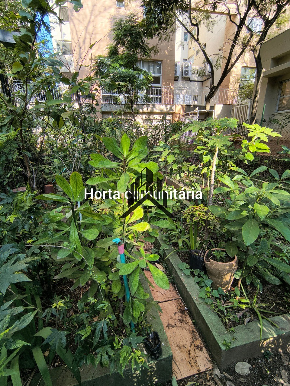 Apartamento, 4 quartos, 122 m² - Foto 32