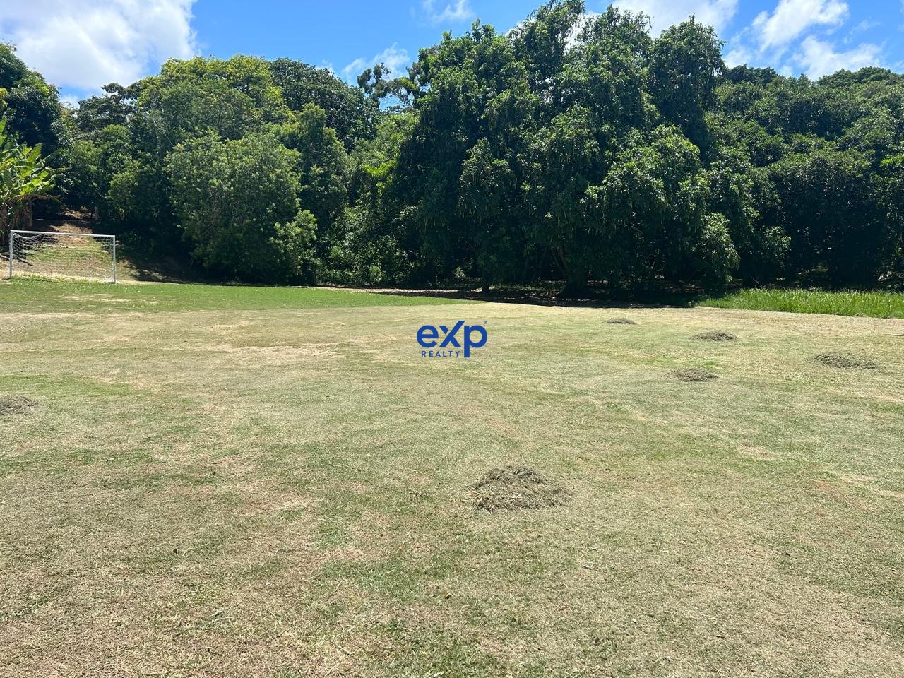 Terreno, 732 m² - Foto 11