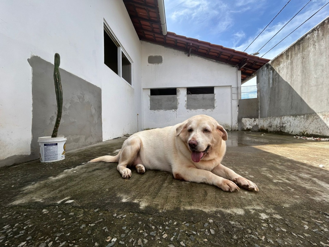 Casa para alugar com 2 quartos - Foto 3