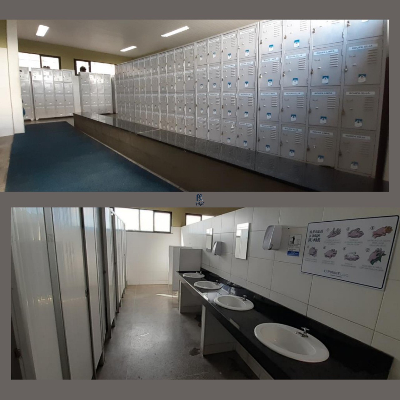 Depósito-Galpão-Armazém para alugar, 69167m² - Foto 6