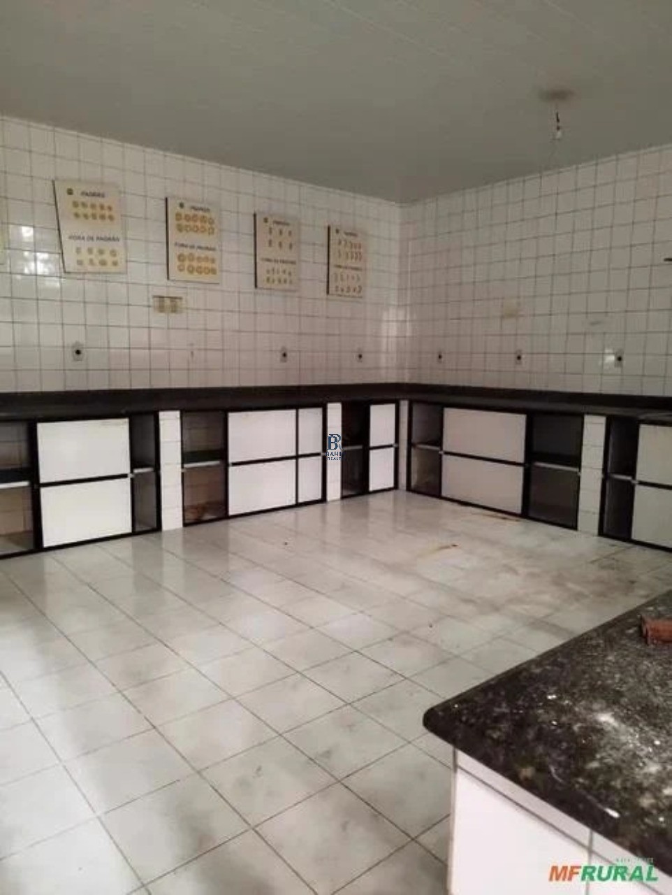 Depósito-Galpão, 3900 m² - Foto 4