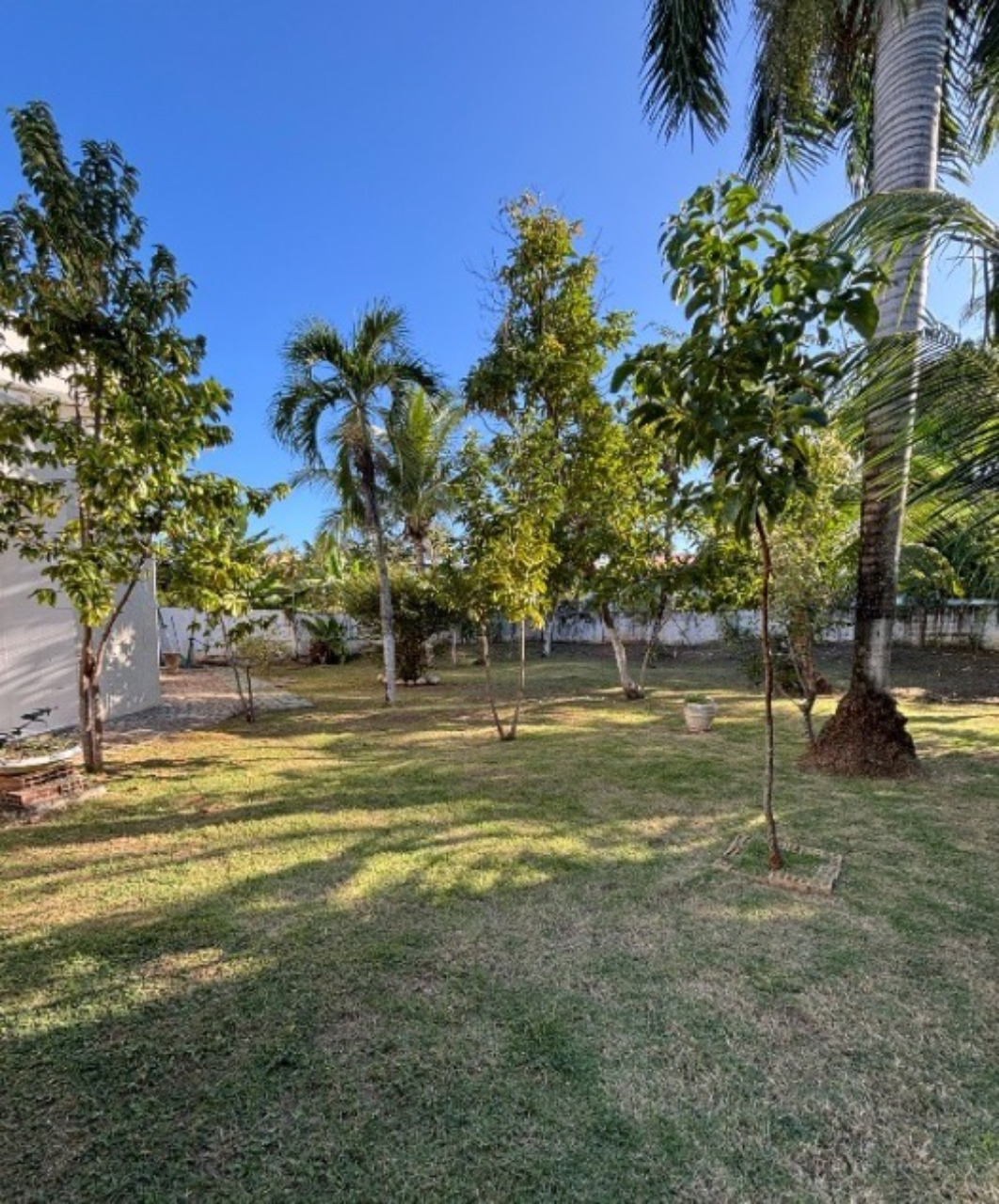 Casa, 6 quartos - Foto 13