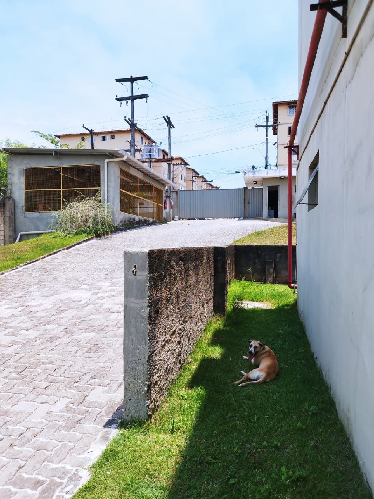 Depósito-Galpão - Foto 26