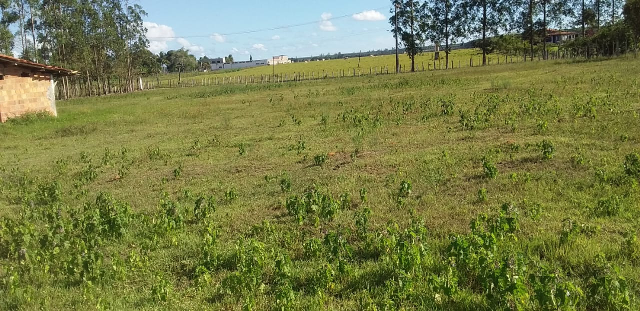 Sítio, 1 quarto - Foto 7