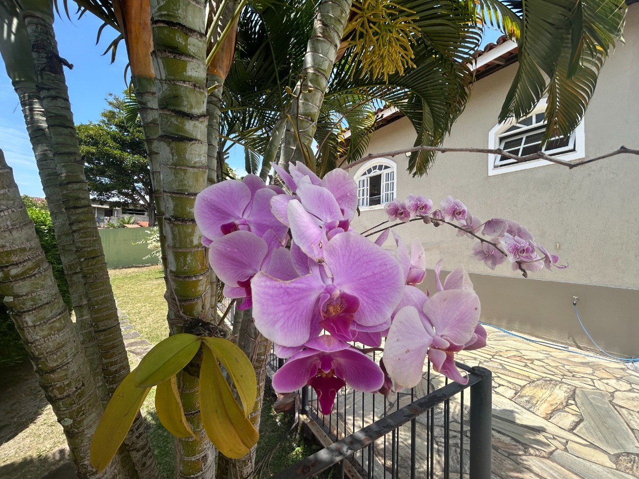 Casa, 4 quartos, 500 m² - Foto 31