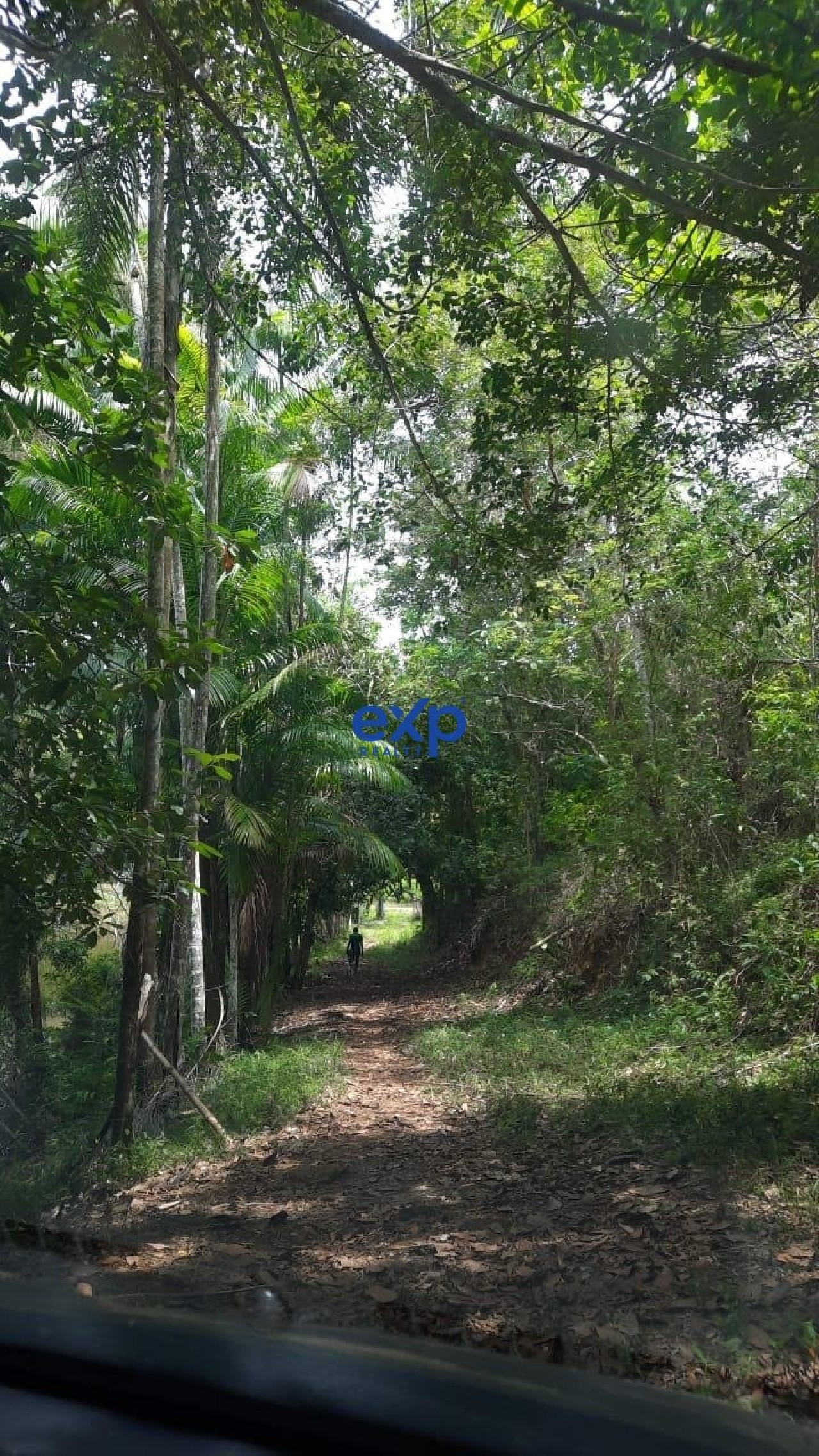 Terreno, 17 hectares - Foto 4