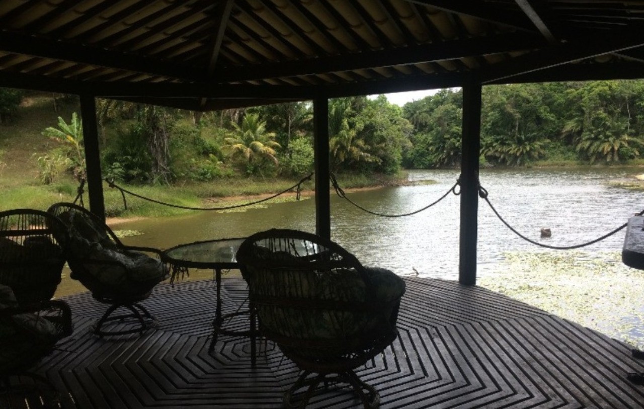 Casa, 4 quartos - Foto 14