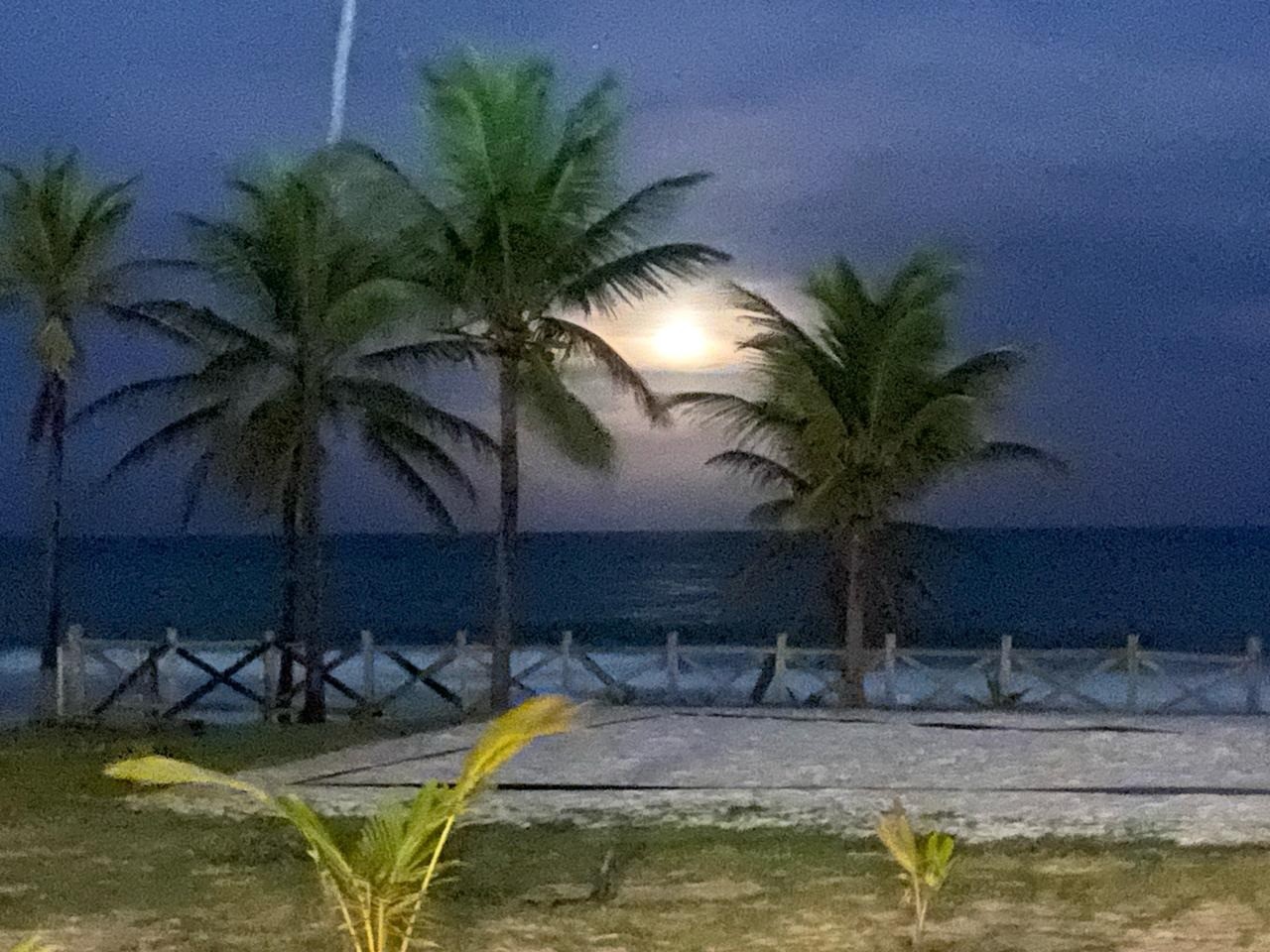 Casa, 4 quartos - Foto 26