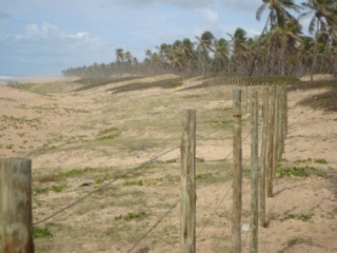 Loteamento e Condomínio, 1520 hectares - Foto 5
