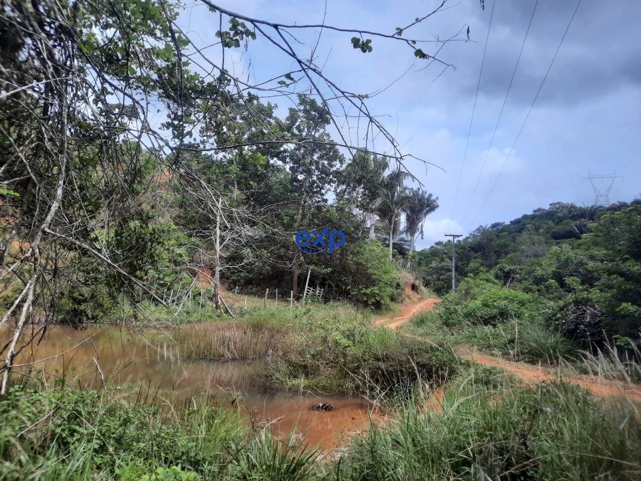 Terreno, 17 hectares - Foto 5