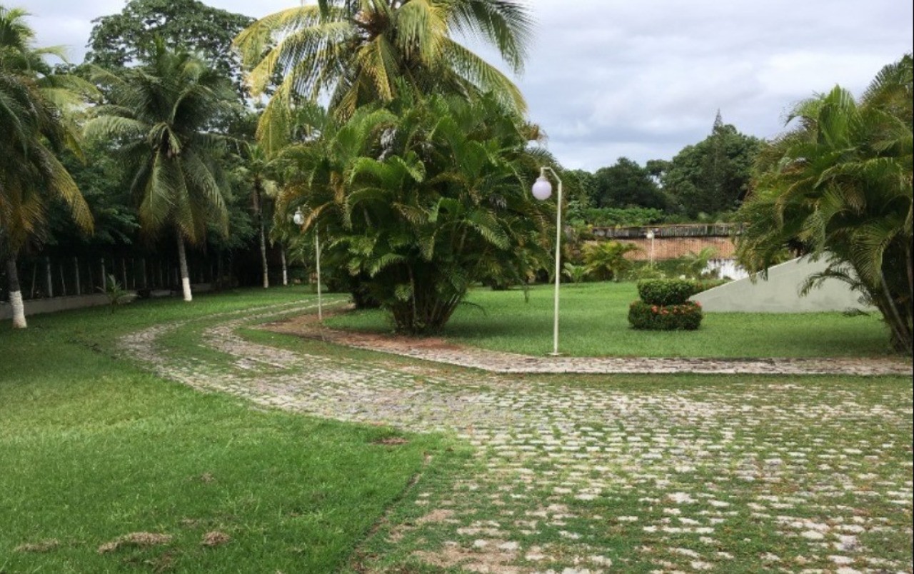 Casa, 4 quartos - Foto 6