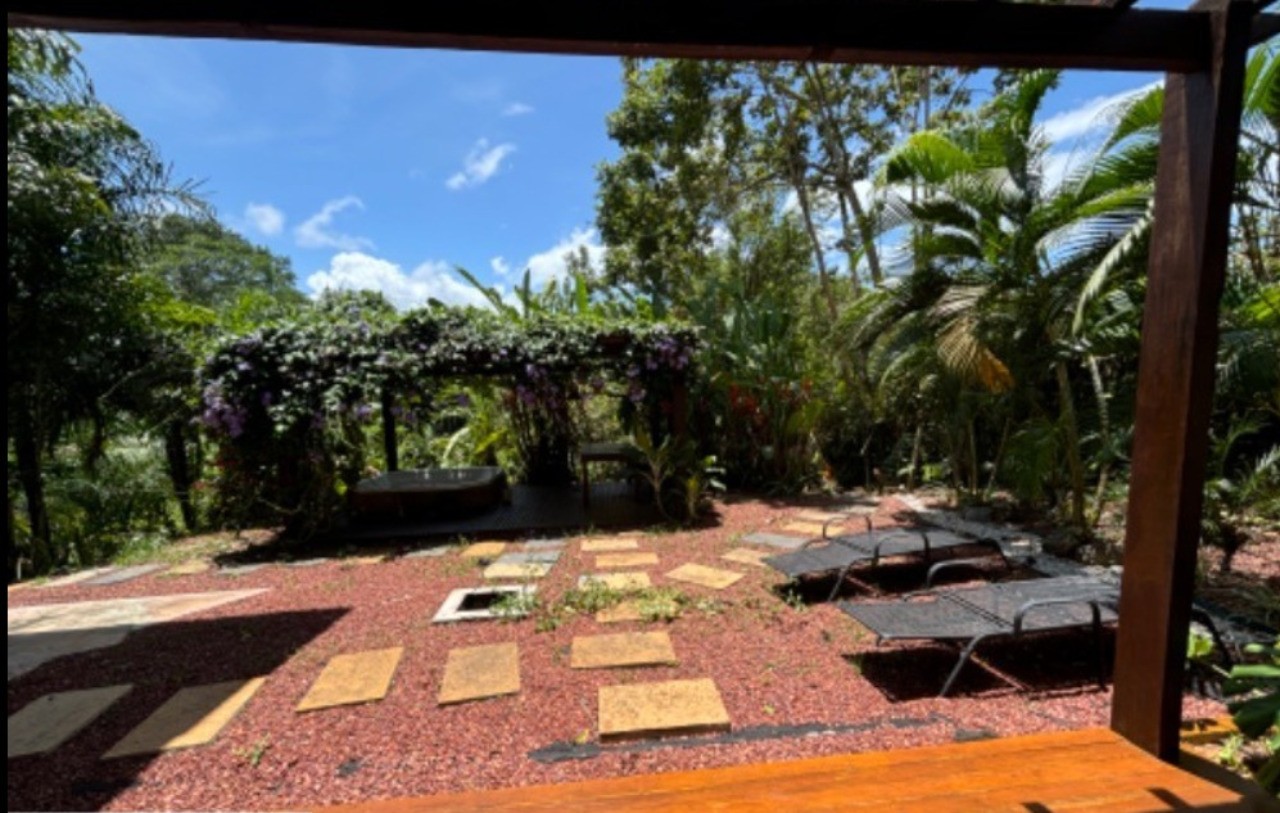 Casa, 6 quartos - Foto 4