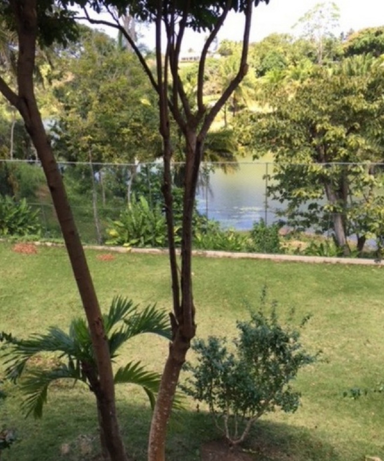 Casa, 3 quartos - Foto 18