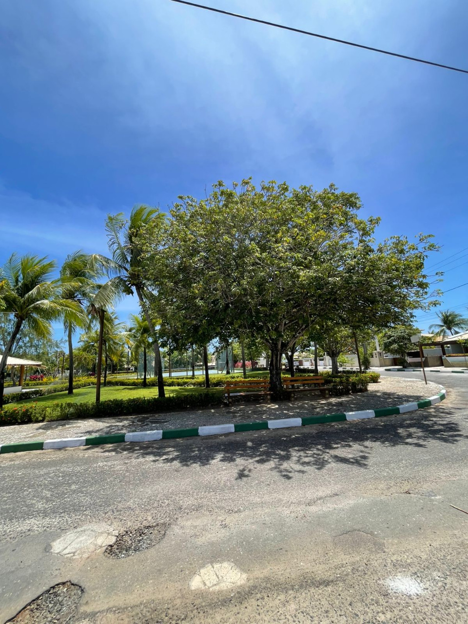 Casa, 5 quartos - Foto 24