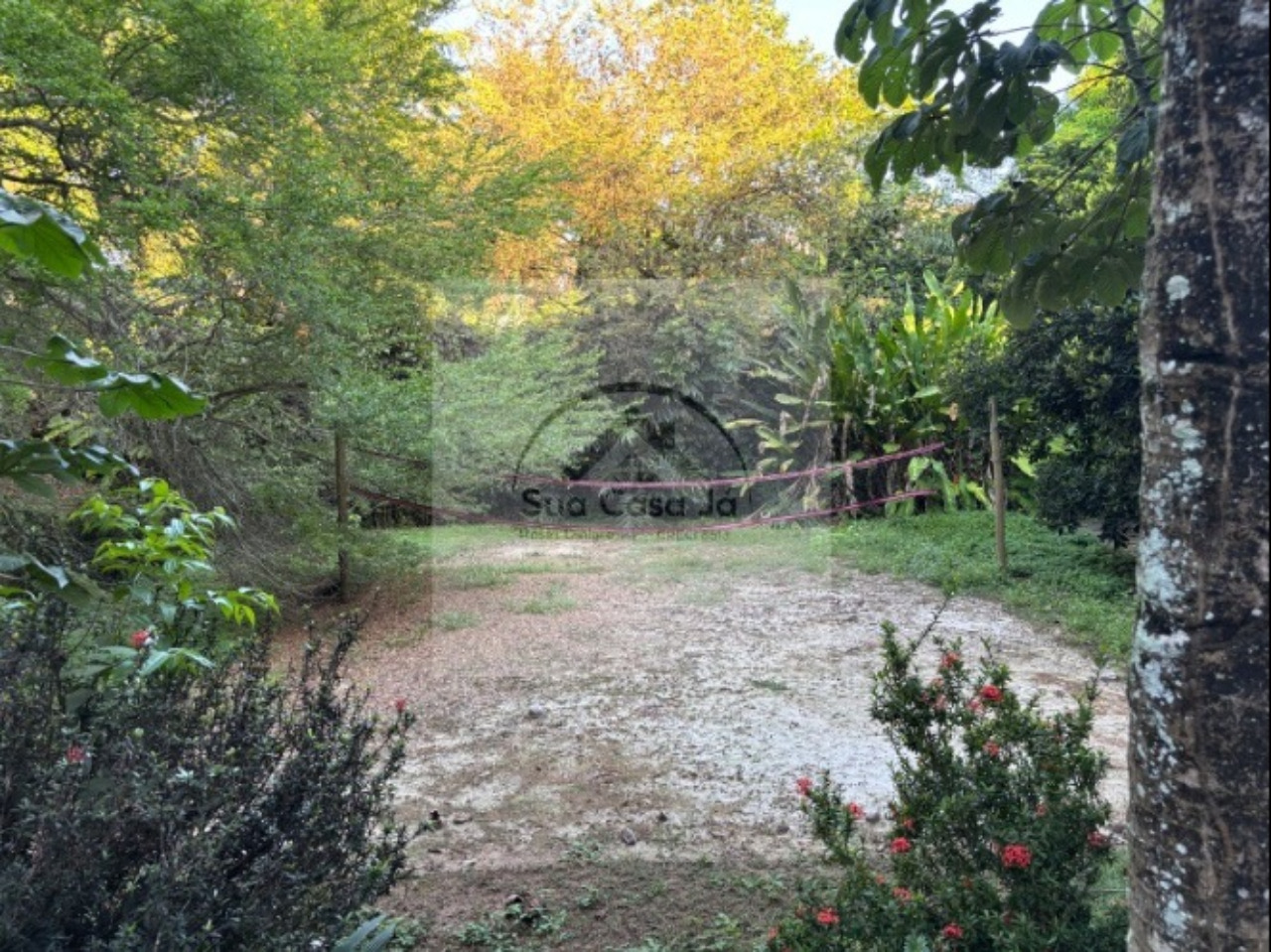 Casa, 4 quartos, 431 m² - Foto 45