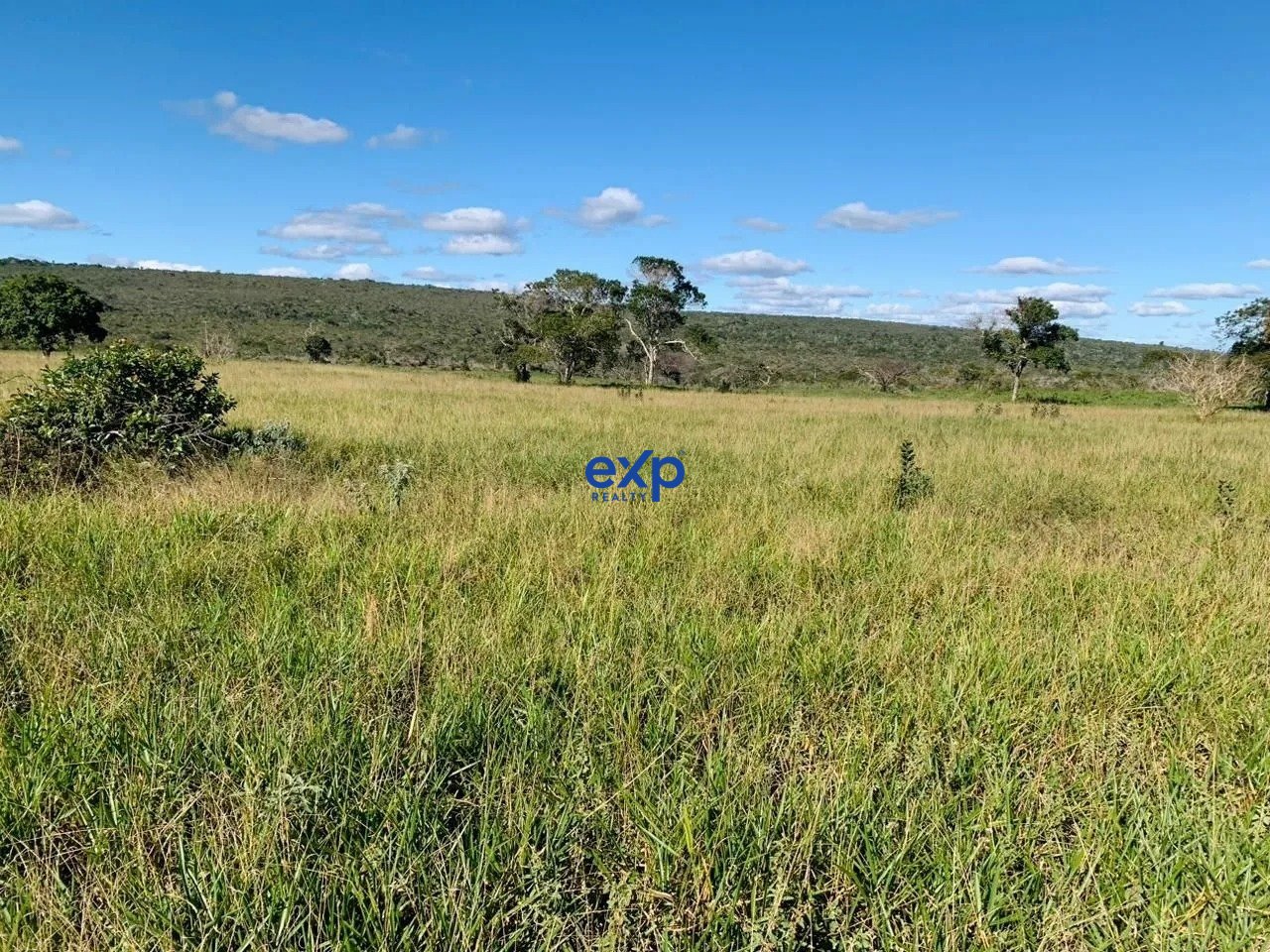 Fazenda-Sítio-Chácara, 119 hectares - Foto 5