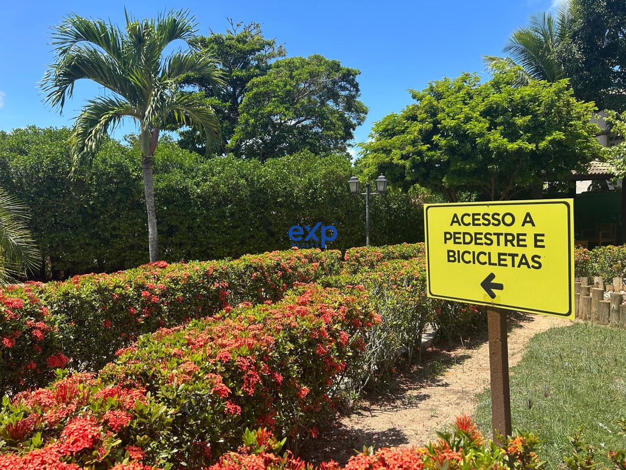 Terreno, 732 m² - Foto 9