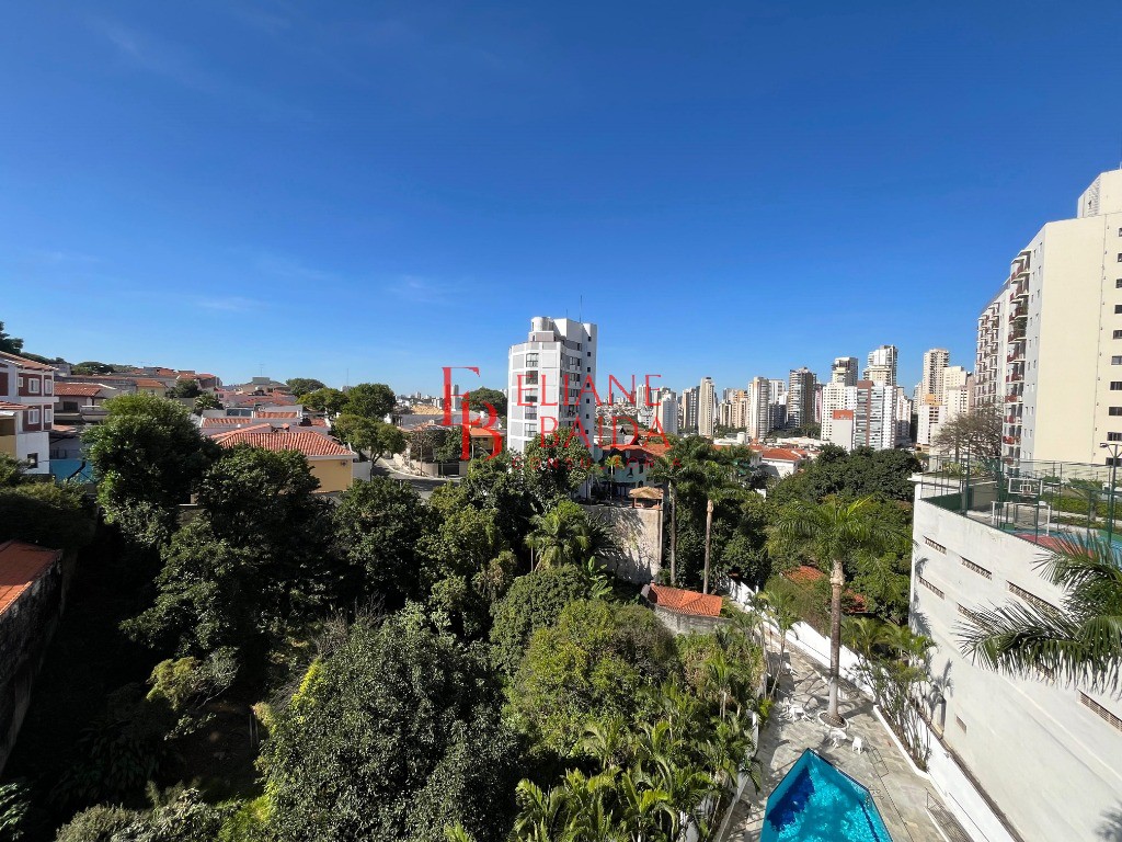 Apartamento, 4 quartos, 176 m² - Foto 13